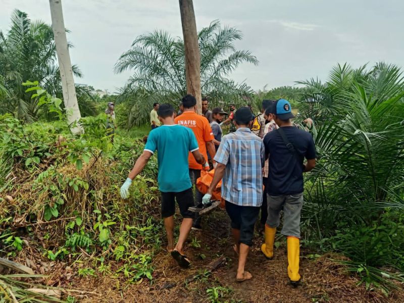 Tak Kunjung Pulang Setelah Pamit Beli Kuota Internet, Gadis Cantik Ini Ditemukan Tewas di Kebun Sawit