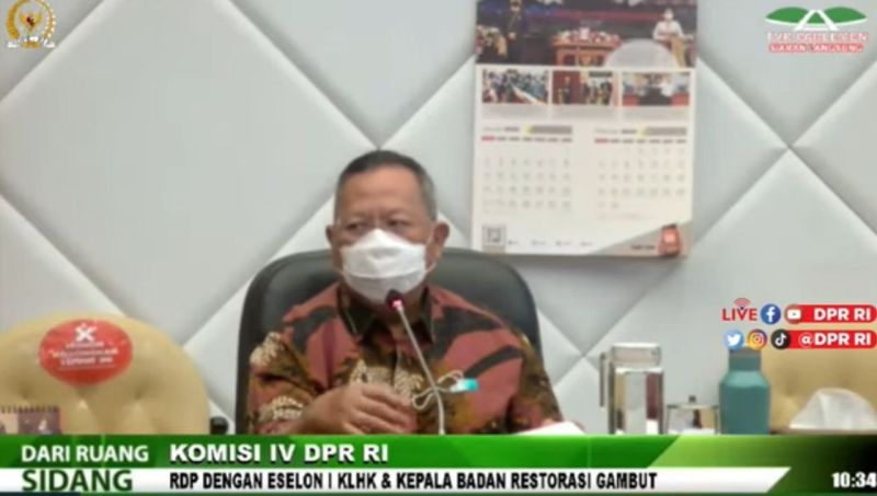 Data Pemutihan Perkebunan Rancu, DPR: KLHK Harus Jujur!