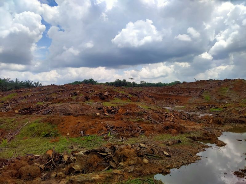 Dijatah 21.000 Hektare, Target PSR Tahun ini Terasa Berat