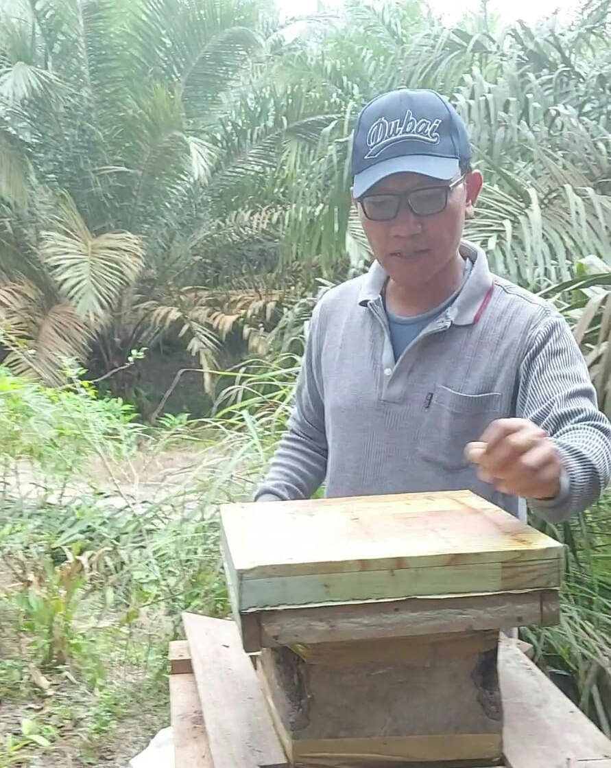 Fery Harianja Ajak Petani Sawit Beternak Lebah Trigona