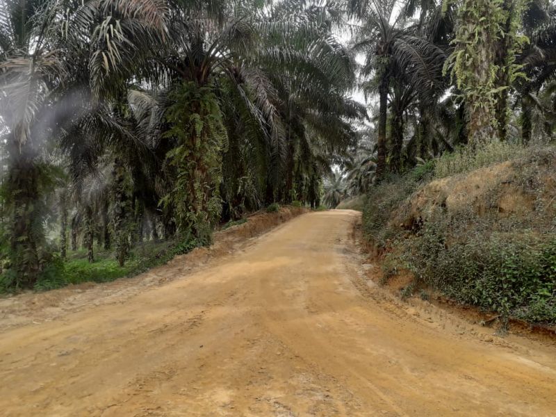 Awal Pekan Petani Jambi Diwarnai Kabar Baik dari Ram