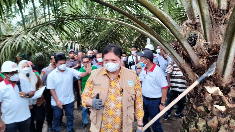 Menko Airlangga: Sawit Komoditas Nomor Satu Indonesia