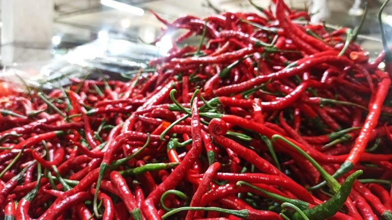 Kementan: Jelang Puasa, Pasokan Cabai Harus Cukup