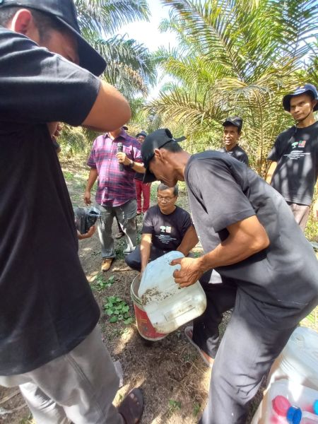 Ini Sebaran Kebun yang Terindikasi Diserang Ganoderma dan Oryctes