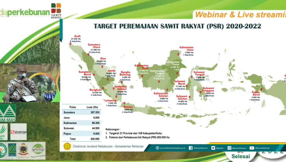 Bukan Hanya Sebatas Penumbangan, Tujuan Utama PSR Agar Petani Jadi Crazy Rich