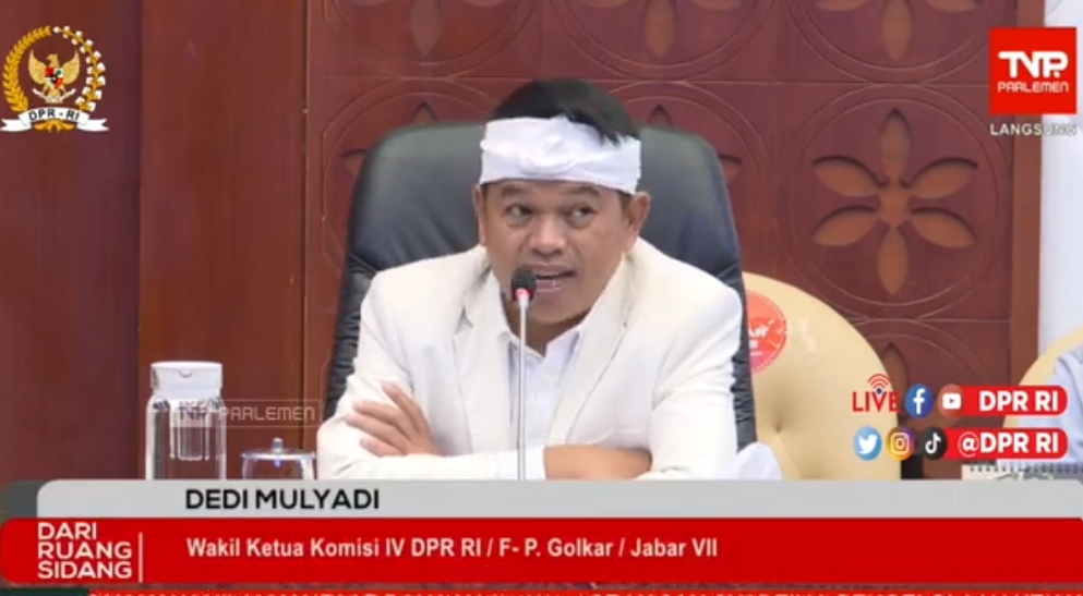 Di Riau, Penanganan Kebun Sawit Ilegal Sangat Janggal