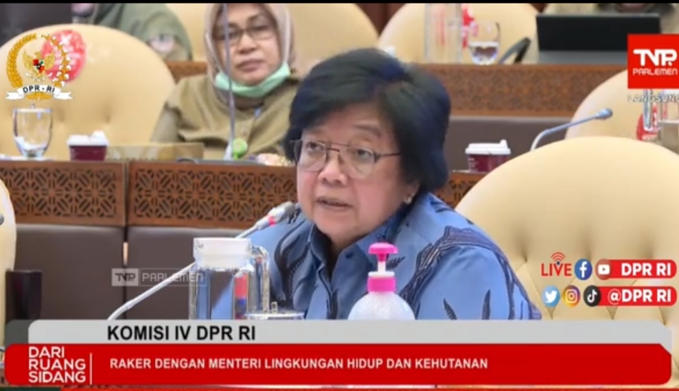 Kebun Sawit Ilegal Bikin Negara Rugi Rp44 Triliun