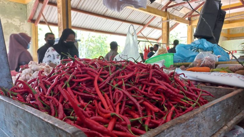 Pemerintah Mulai Genjot Komoditas Holtikultura Berbasis Ekspor
