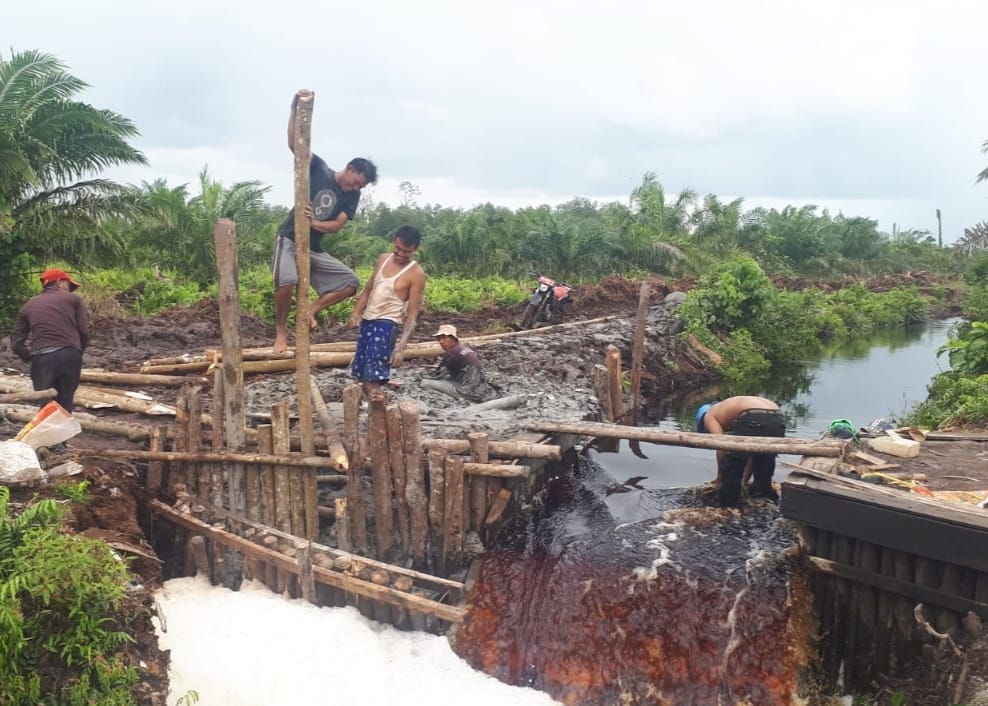 Ini Tiga Agenda BRG di Riau, Anggarannya Rp18,8 Miliar