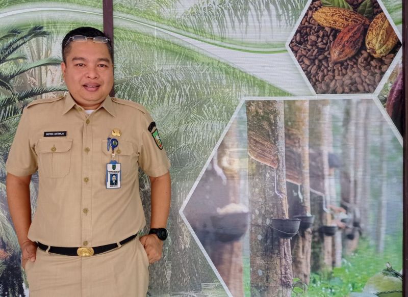 Harga Komoditi di Riau Kompak Ambles, Karet dan Pinang yang Aman