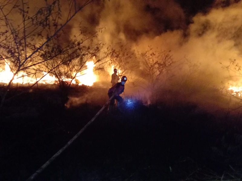 Malam-malam, Manggala Agni Padamkan Kebakaran Lahan Sawit di Kampar