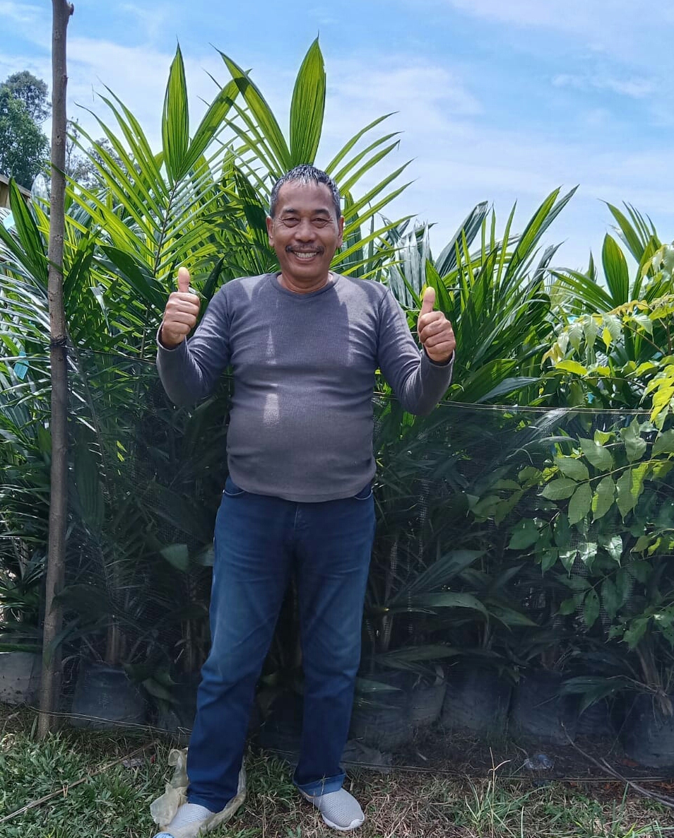 Uji Rendemen Diharapkan Dongkrak Harga TBS