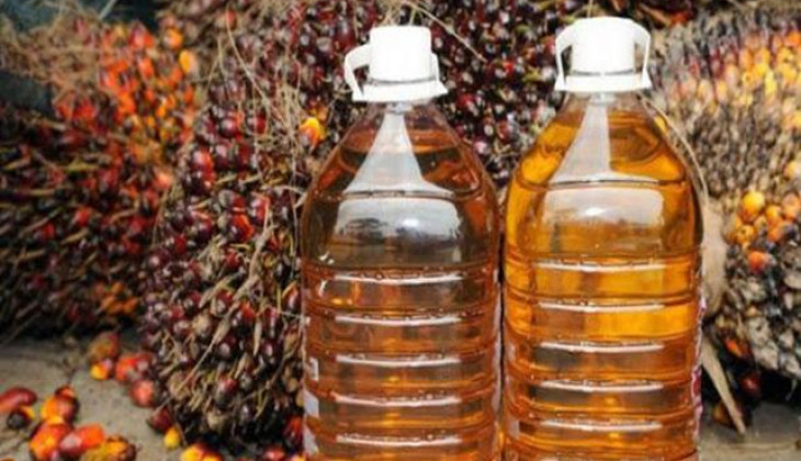 Baru Tiga Bulan, Bea Keluar CPO Capai Rp8,14 Triliun