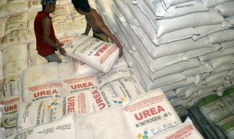 Petani Sawit Jadi Anak Tiri, Pupuk Kimia Mahal dan Langka