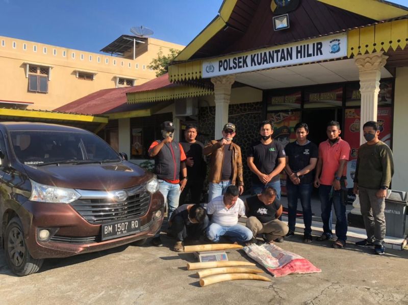 Penjual 4 Gading Gajah di Riau Ditangkap Polisi