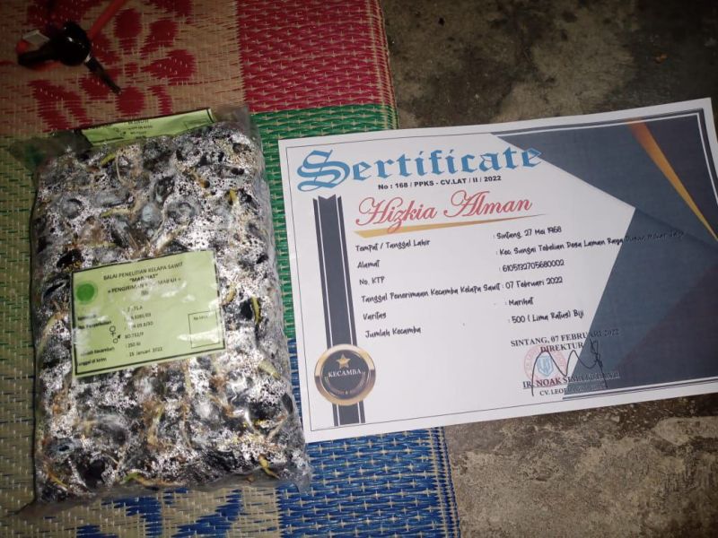 Ilmu Kampus Mulai Dipraktekkan