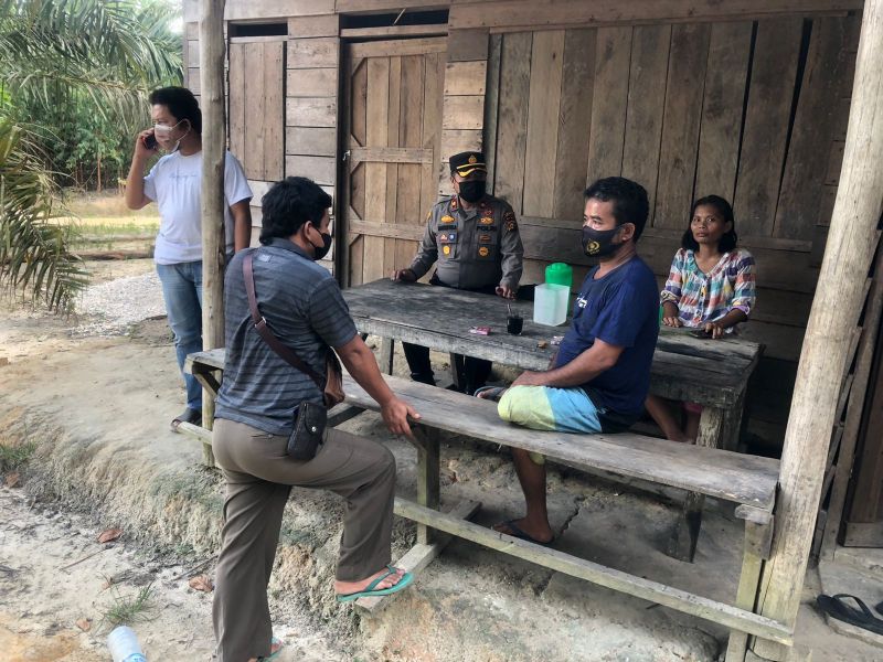 Harimau Mengintai di Kebun Sawit, Warga Bengkalis Mengungsi