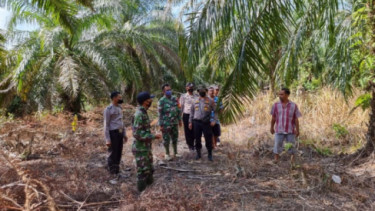 4 Perangkap Harimau Dipasang di Kebun Sawit Bengkalis