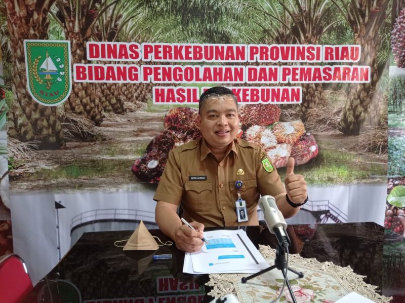 Jika Petani Bermitra, Niscaya Selamat dari Dampak Larangan Ekspor CPO