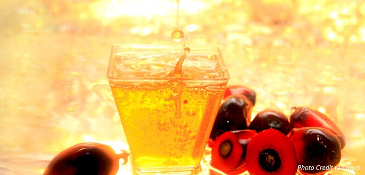 Ini Harga Referensi CPO untuk Bulan Mei