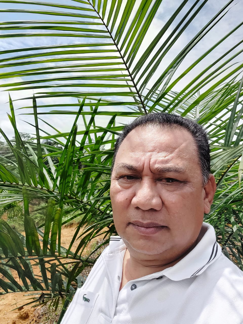 Seluruh Pabrik Sawit di Provinsi ini Bakal Didemo