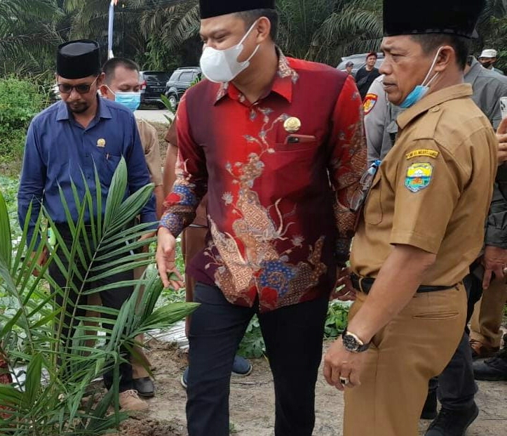 Petani Diingatkan, Pertahankan Sawit Tua tak Bikin Makmur