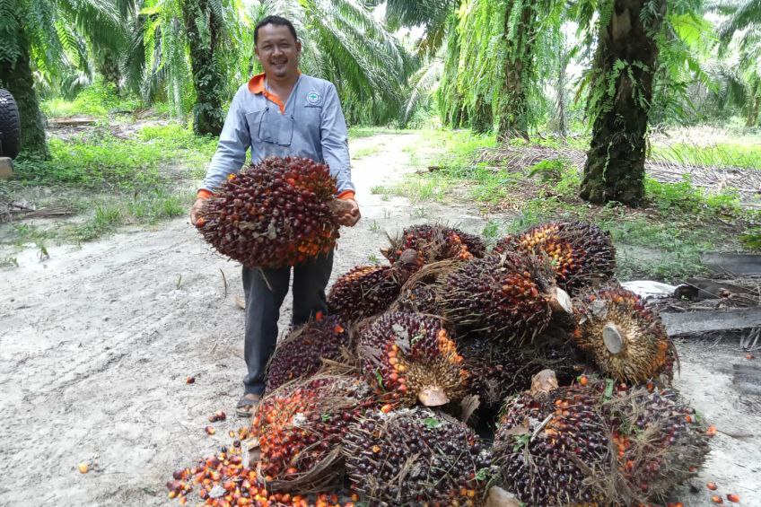 Petani Menjerit, IKN Terancam Banjir Penolakan