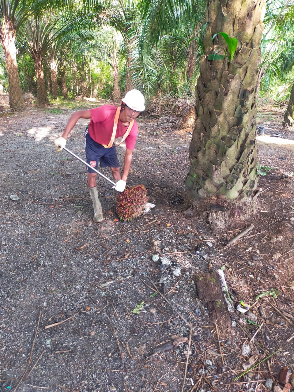 Tak Ikut Demo, Tapi Petani ini Punya Aspirasi yang Sama