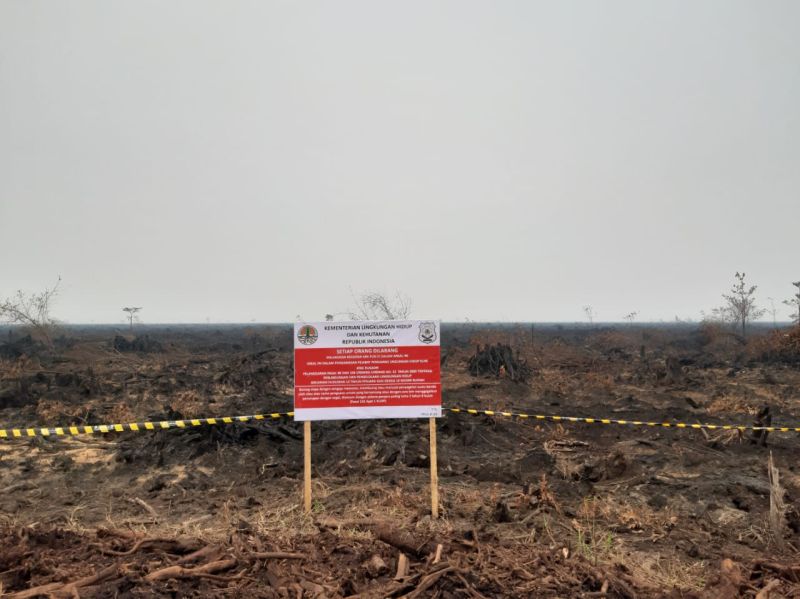 Ingin Garap Lahan, Warga Desak Vonis Karhutla Tahun 2018 Dieksekusi