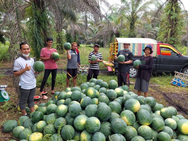 Satu Tujuan dengan Astra Kreatif