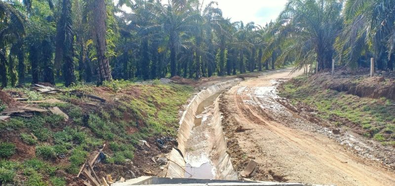 Setelah Irigasi Dibangun, Sawah Malah Berubah Jadi Kebun Sawit