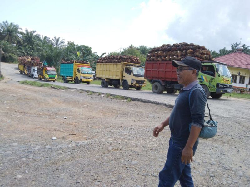 PKS Mukomuko Beli Sawit Masih Dibawah Harga Penetapan