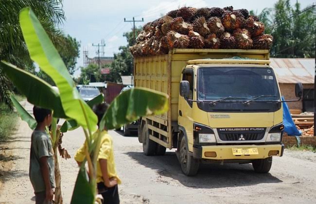 Pembatasan izin, Buka Ruang Petani Swadaya Untuk Berkembang
