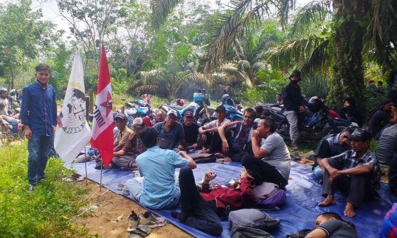 Tuntut Kebun Plasma, Masyarakat Duduki Areal Perusahaan
