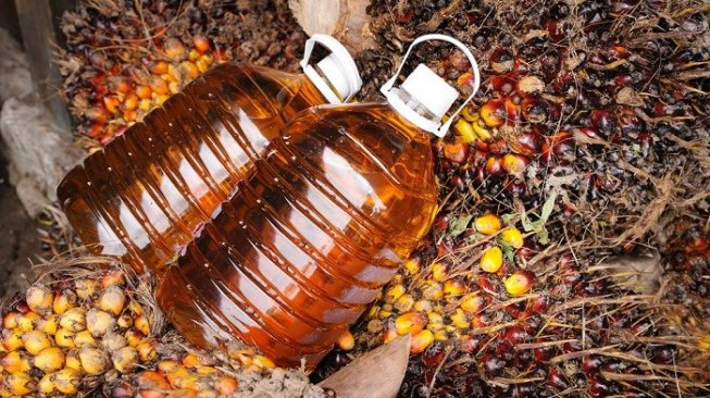 PPKS: Minyak Makan Merah Jawaban Pengentasan Stunting