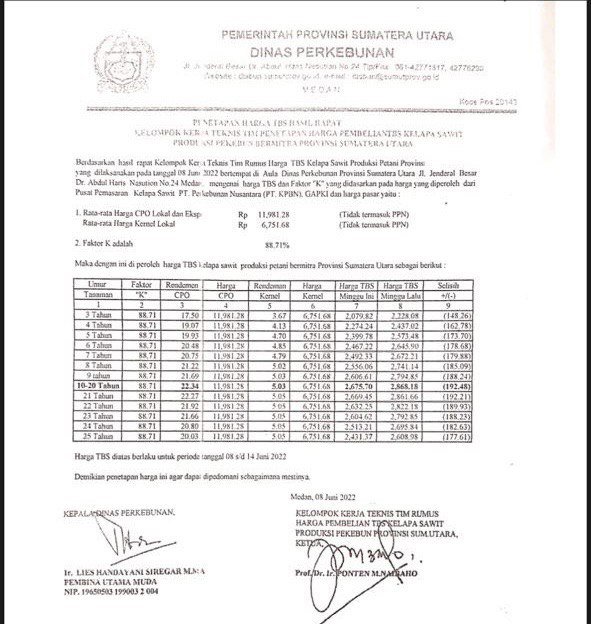 Periode 8-16 Juni, Harga Sawit Sumut Turun Rp192,48/Kg