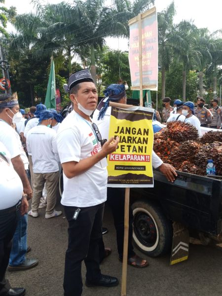 Petani Diundang DPR Bahas Harga TBS