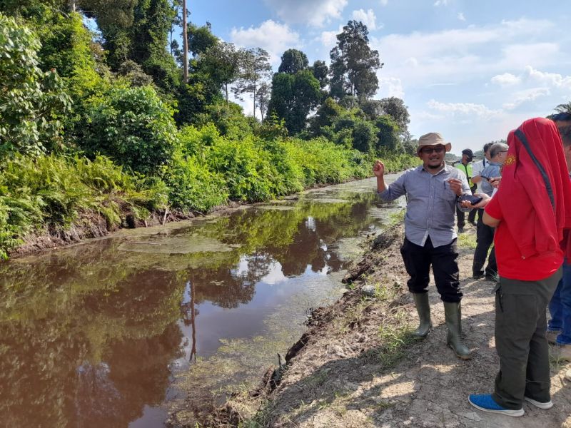 Berkebun di Lahan Gambut, Begini Cara Perusahaan Cegah Karhutla