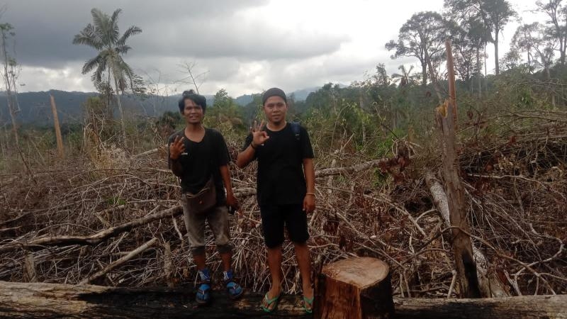 Wow, Lahan di Taman Nasional Dijual Rp 4 Juta per Hektare