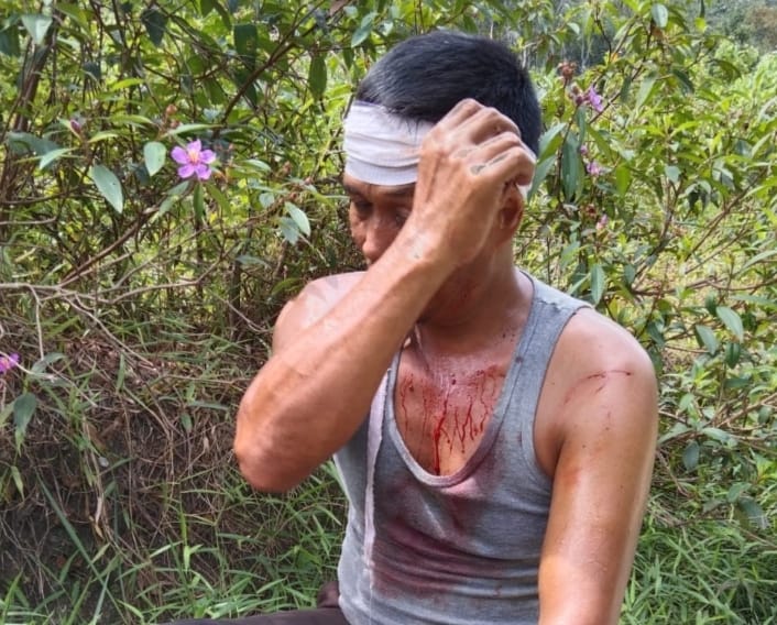 Harga Sawit Anjlok, Ninja Sawit Malah Makin Galak