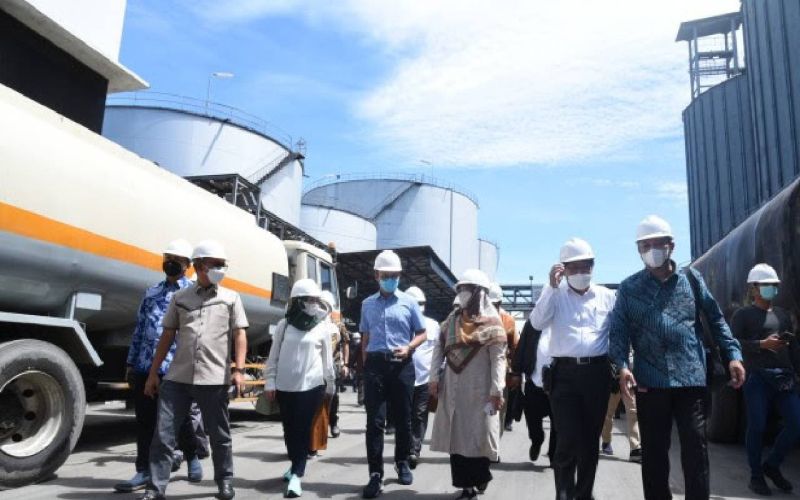 Pabrik Minyak Goreng di Belawan Didatangi Anggota DPR, Ada Apa?