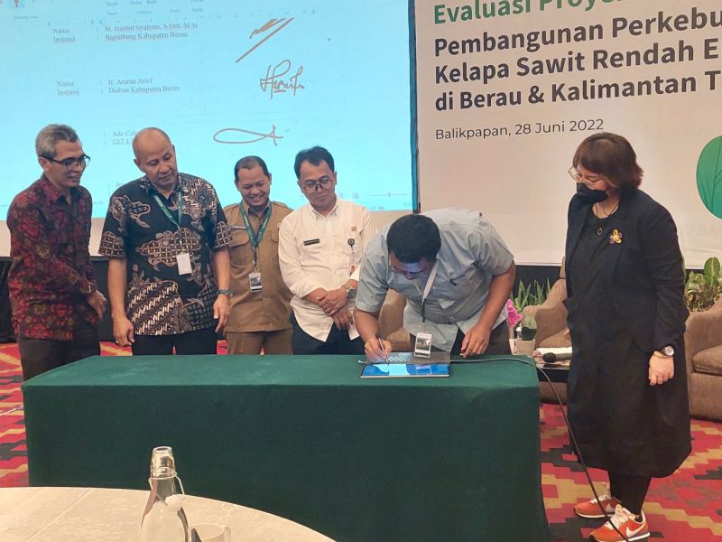 NGO dan Pemda Berkolaborasi Wujudkan Perkebunan Rendah Emisi
