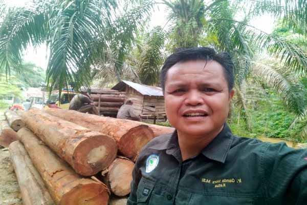 KLHK Didesak Setor Data Kebun Sawit Ilegal ke Kejagung