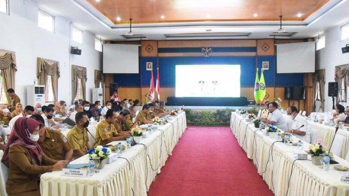 Tak Cuma Kebun Rakyat, Sawit Perusahaan Juga Perlu Di-replanting