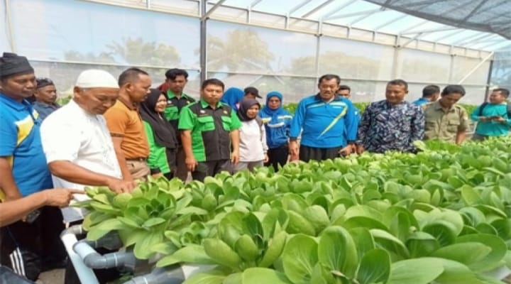 Desa ini Pakai ADD Untuk Perkuat Ketahanan Pangan