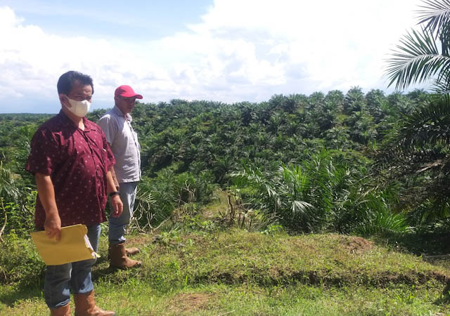 Duduki Kebun Sawit Perusahaan, 5 Warga Jadi Tersangka