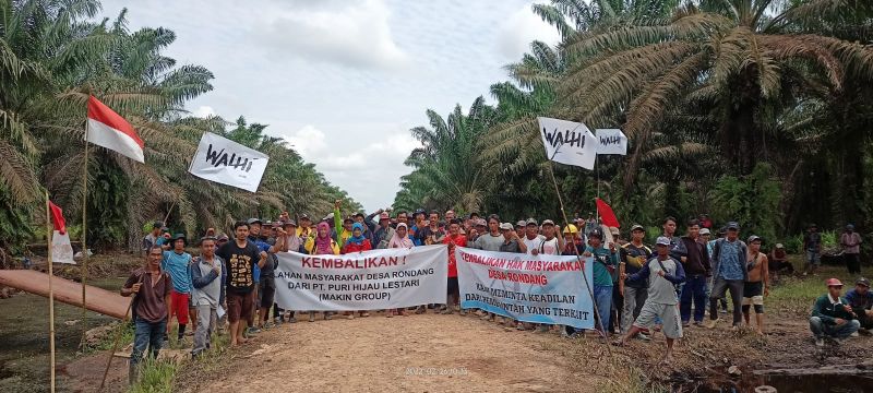 Ribuan Petani Sawit Mau Demo Besar-besaran Pagi Ini