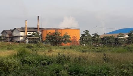 Harga Sawit Di PKS-PKS ini Merangkak Naik