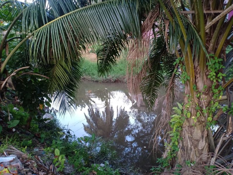 Limbah PKS Diduga Cemari Sungai, Belum Pernah Kena Sanksi