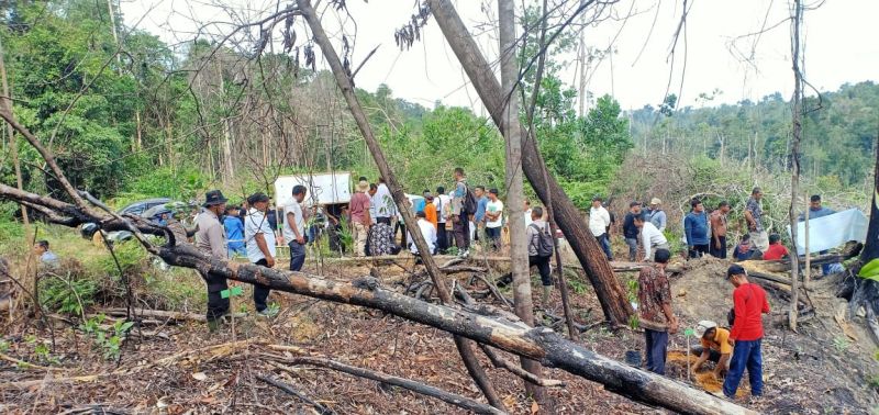 Dicaplok Penggarap dan Perambah, Hutan Desa Direboisasi